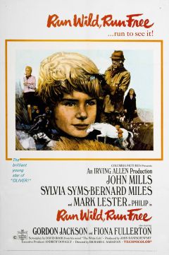 Беги, малыш, беги! (1969)