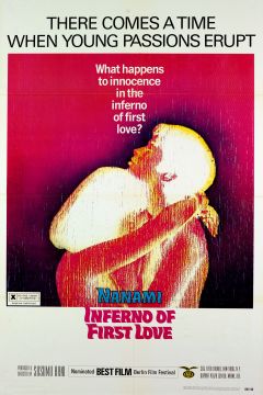 Фильм Ад первой любви (1968)