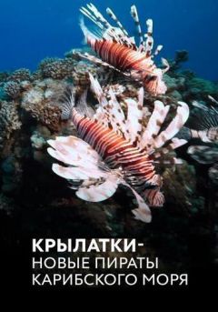 Крылатки — новые пираты Карибского моря (2017)