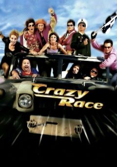 Сумасшедшие гонки (2003)